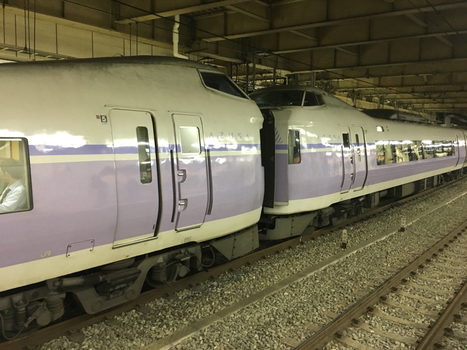 Two E351s coupled at Shinjuku Station in 2017.