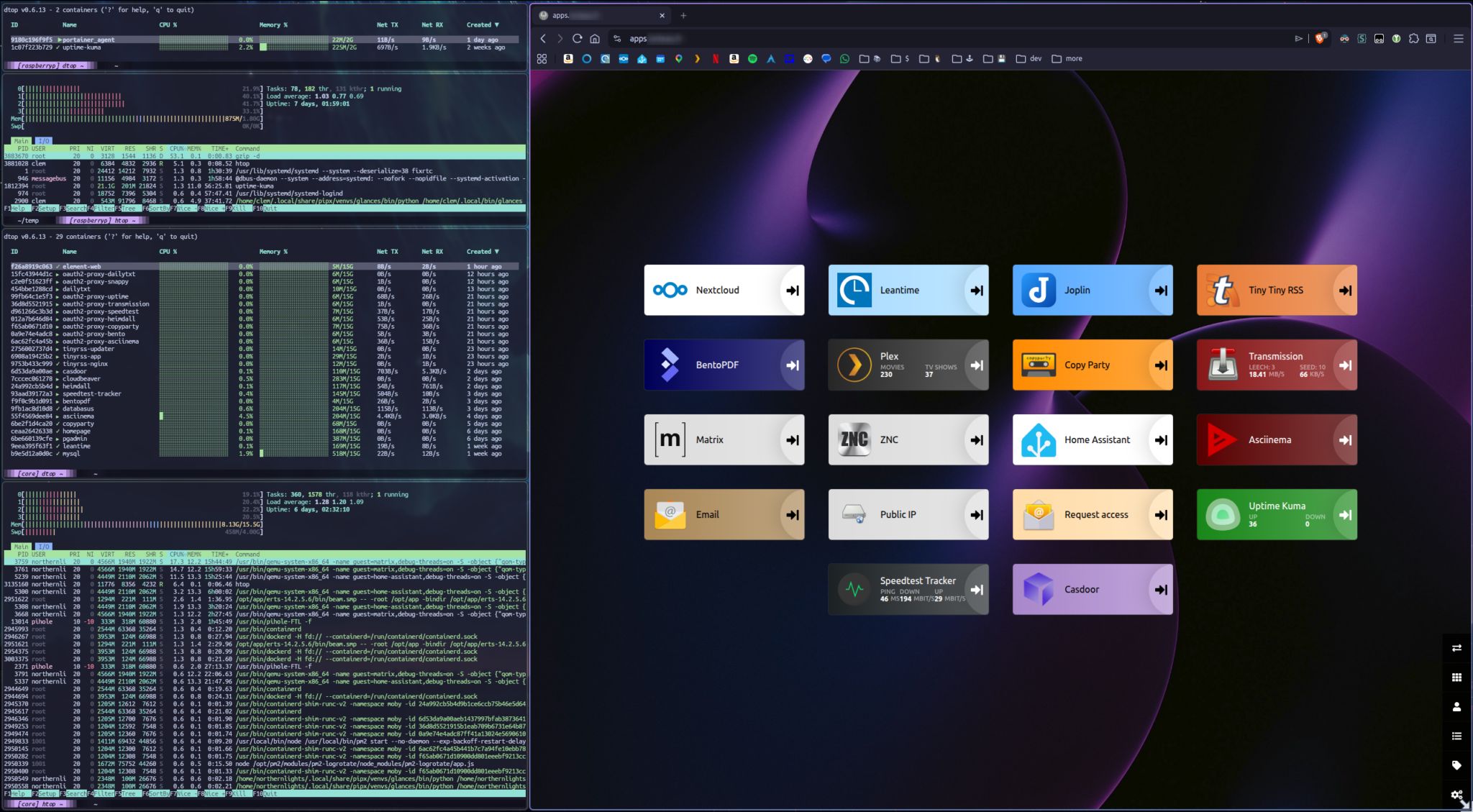 screenshot showing list of hosted apps and resources usage of servers